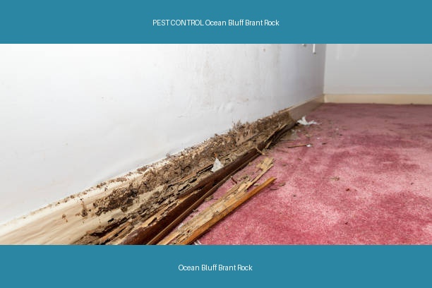 PEST CONTROL Ocean Bluff Brant Rock